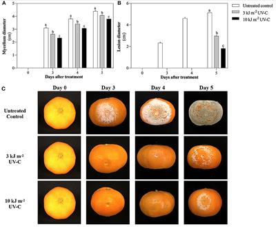 Postharvest UV-C Irradiation Influenced Cellular Structure, Jasmonic Acid Accumulation, and Resistance Against Green Mold Decay in Satsuma Mandarin Fruit (Citrus unshiu)